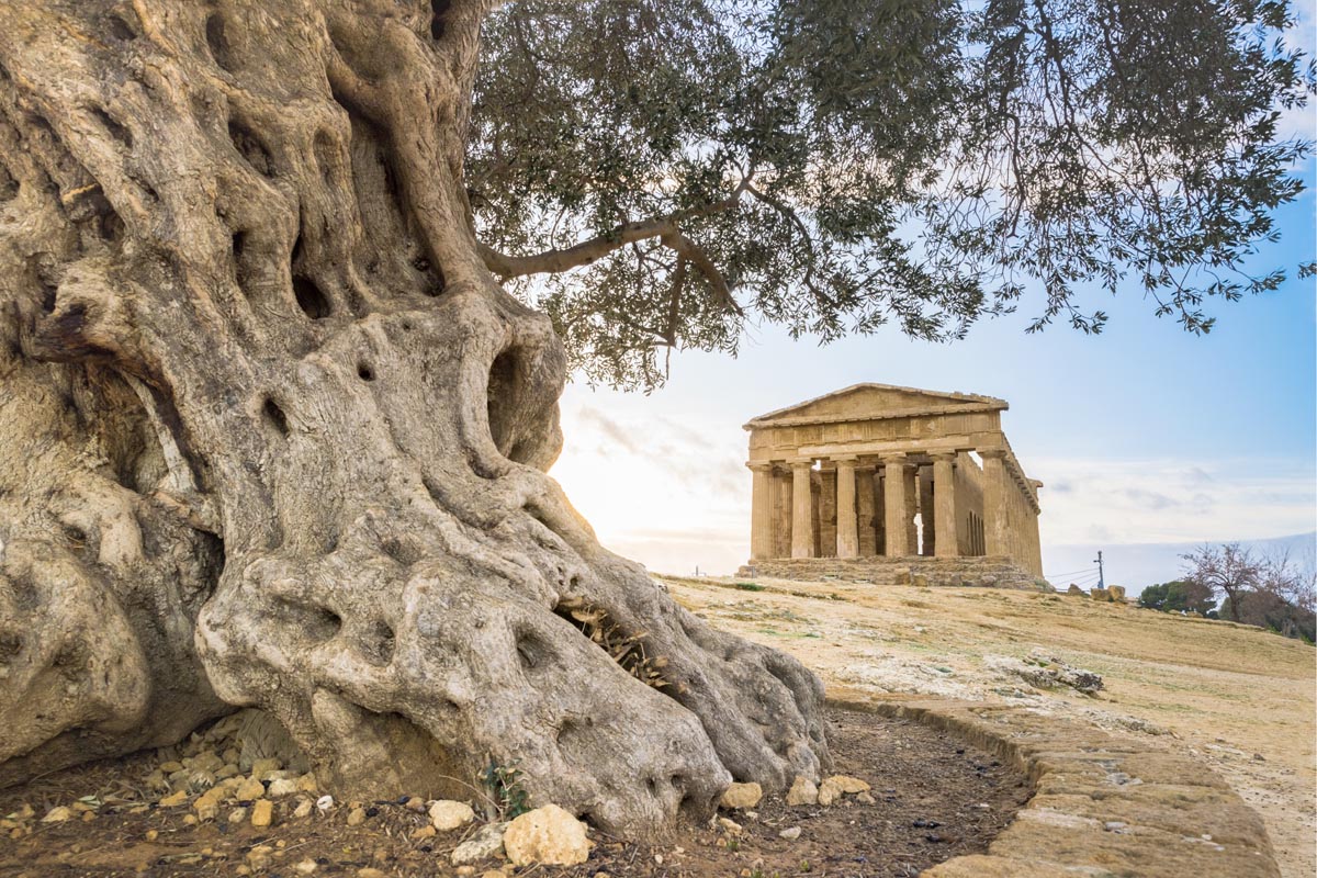 17 Sicily agrigento-sicily-famous-valle-dei-templi-unesco-world-heritage-site-greek-temple-remains-of-791684974 - Agrigento famous Valle dei Templi - UNESCO World Heritage Site