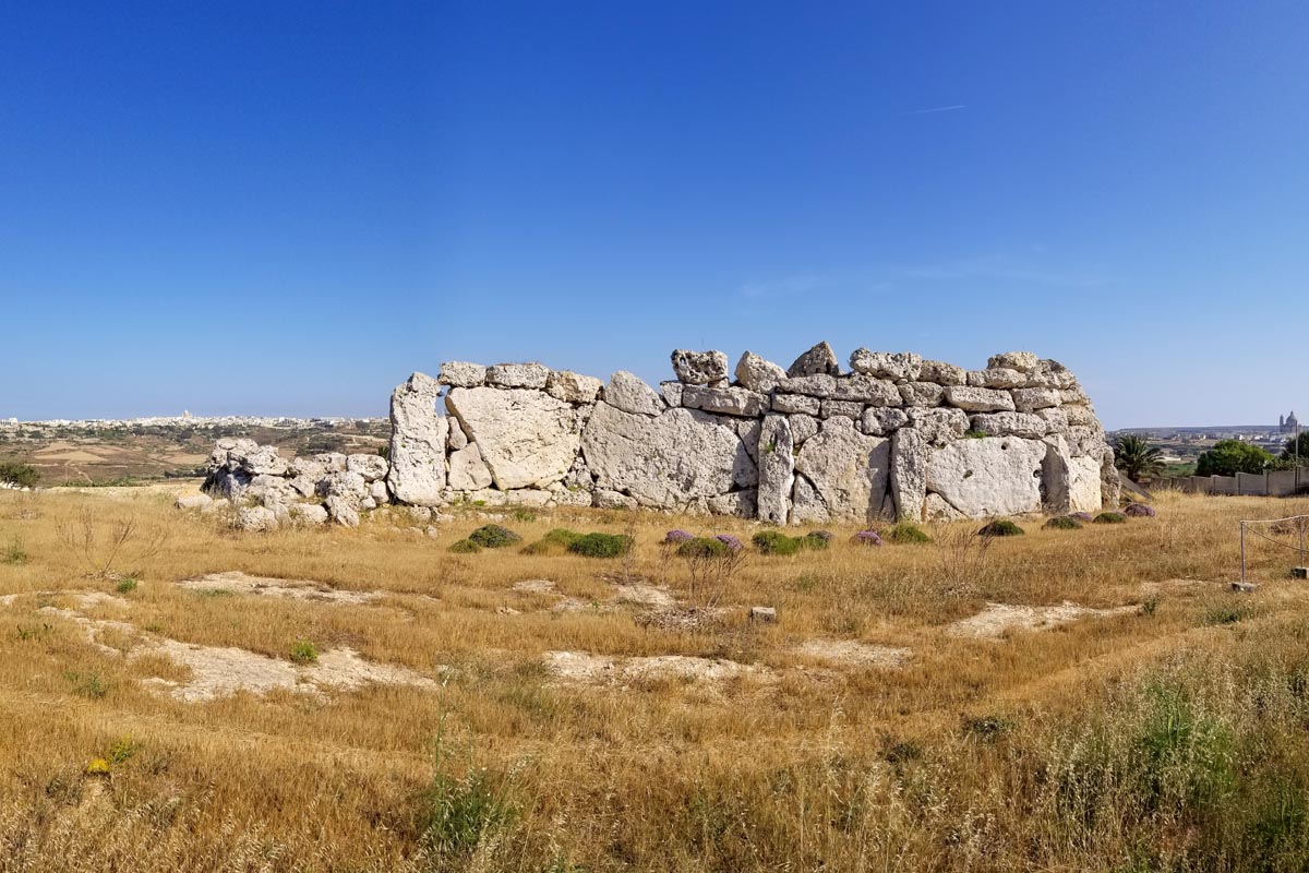 05 MaltaTRY GOZO ggantija-temples-and-island-gozo-malta-with-dry-grass-and-purple-flower-on-1228133911 - Panoramic view of Ggantija Temples and island Gozo, Malta with dry grass and purple flower on foreground